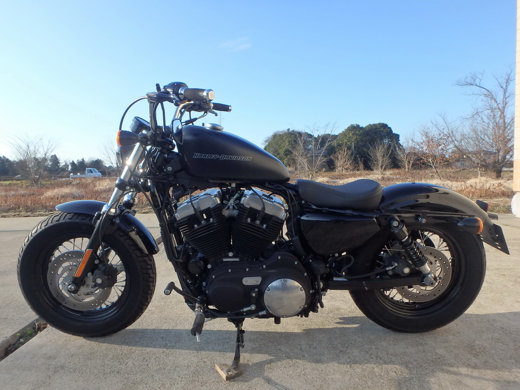     Harley Davidson XL1200X 2011  10